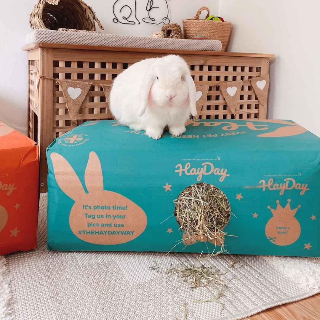 Hay For Rabbits Premium, Barn Dried Rabbit Hay Boxes HayDay HQ