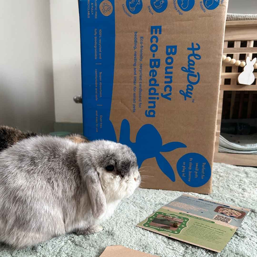 Bouncy Eco-Bedding 3.2kg