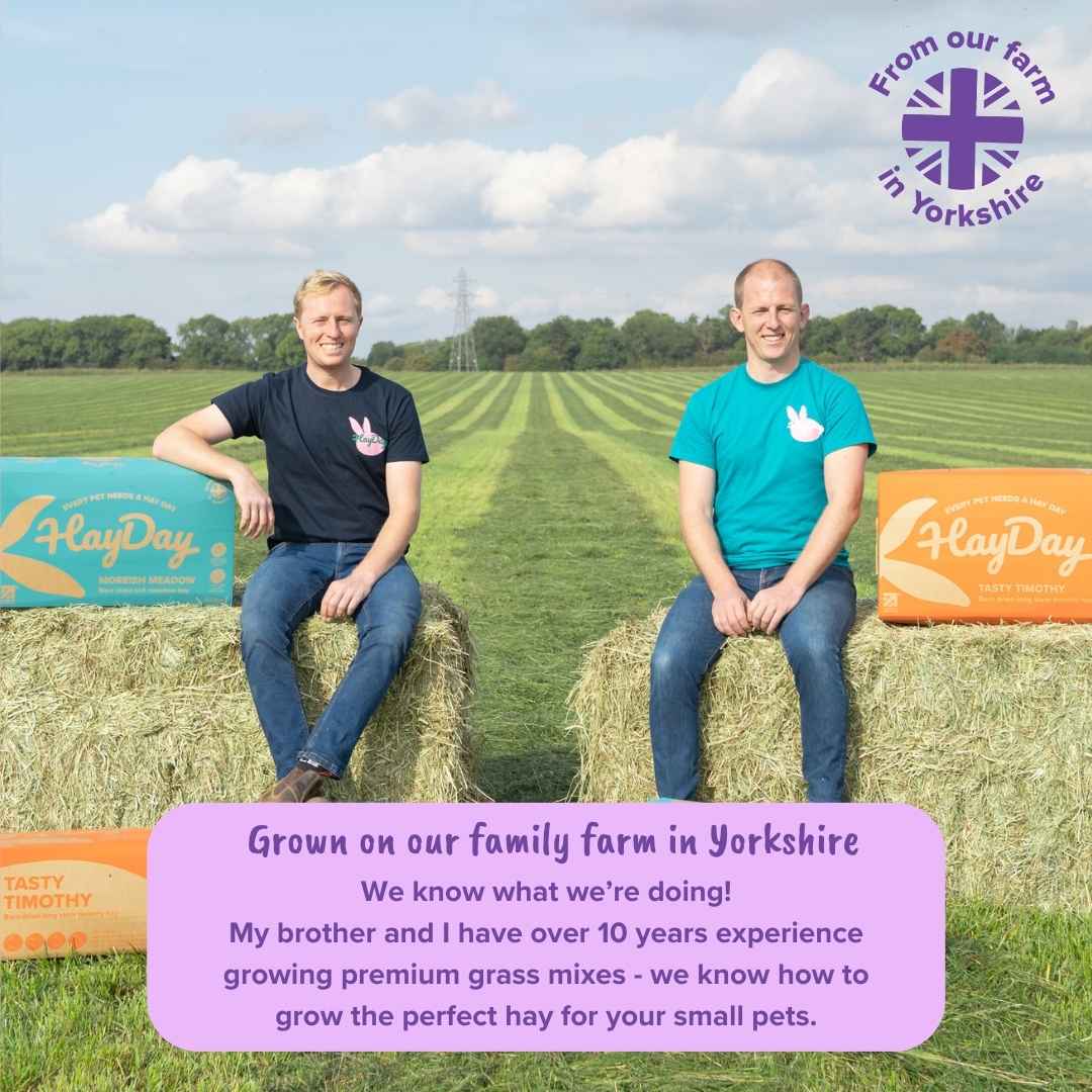 Two men sitting on hay bales with a field and blue sky in the background, featuring 'HayDay' products.