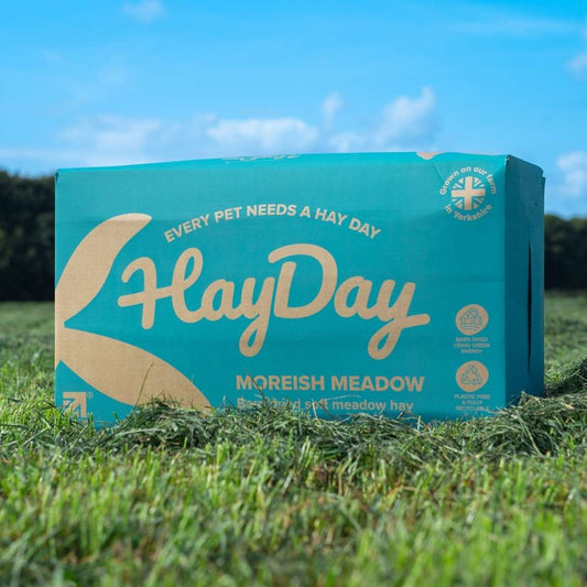 Moreish Meadow Hay
