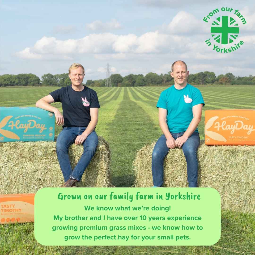 Two men sitting on hay bales with HayDay boxes and a field in the background.