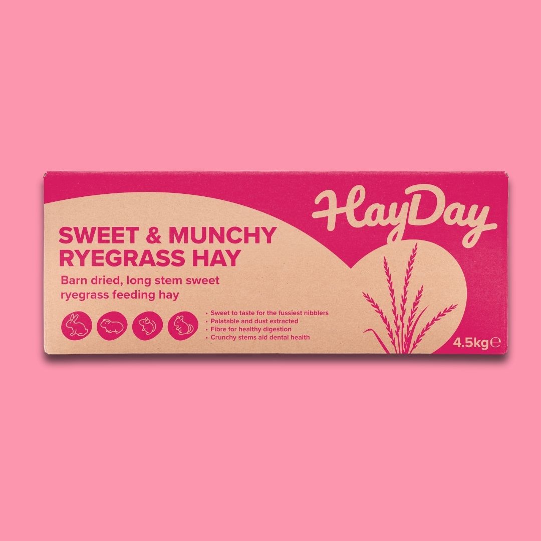 HayDay Sweet and Munchy Ryegrass Hay 4.5kg on a pink background.