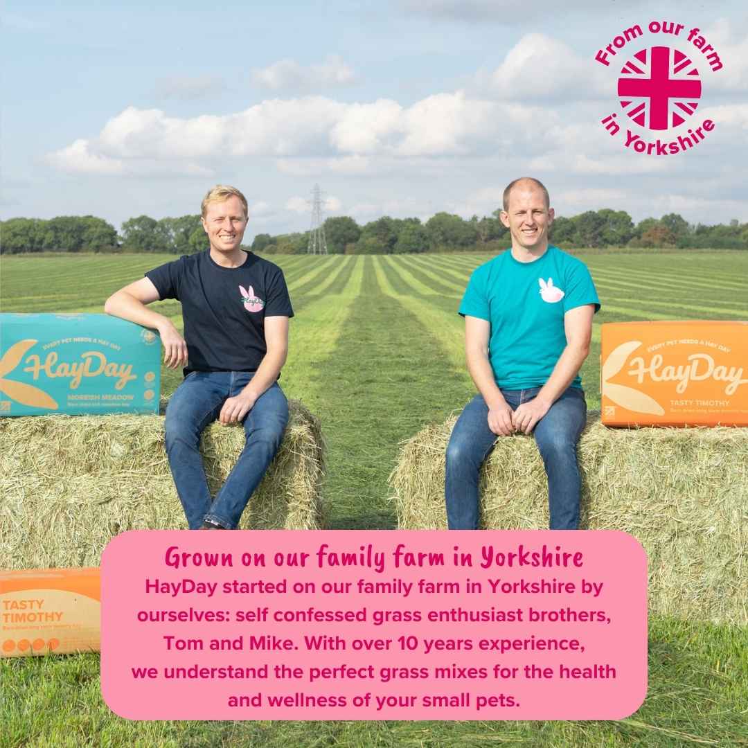Two men sitting on hay bales with a field and 'HayDay' branding in the background.