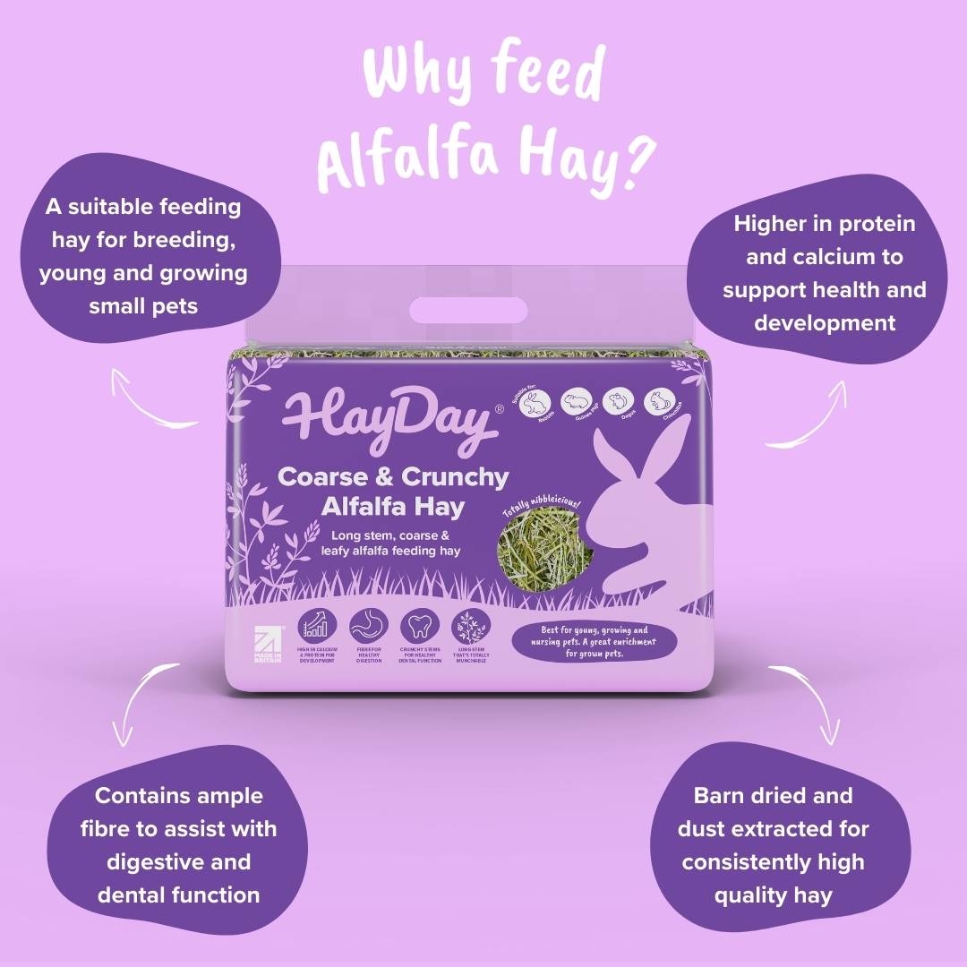 HayDay Alfalfa Hay with benefits on a purple background.