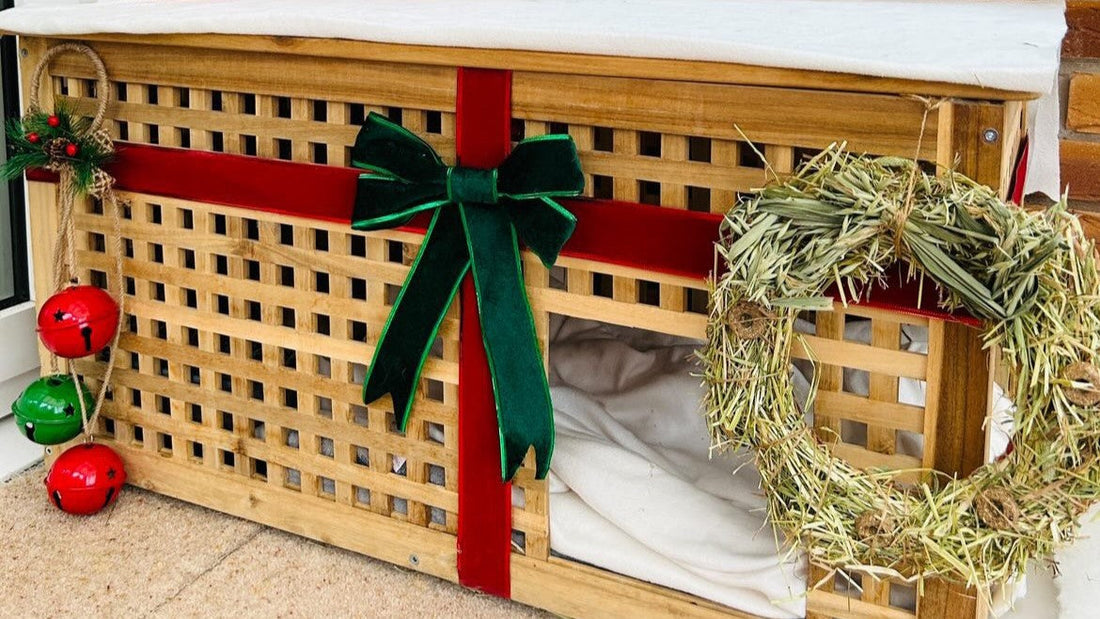 DIY Hay Wreath Christmas Enrichment for Rabbits & Other Small Pets