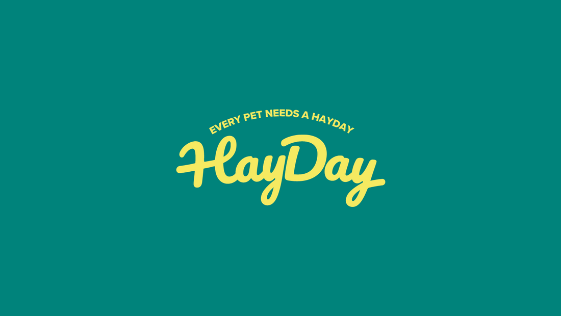 An image of the HayDay logo. 