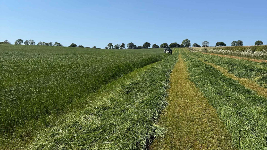 Beautifully, green fields of hay in the Yorkshire countryside, with a tractor in the background briefly.