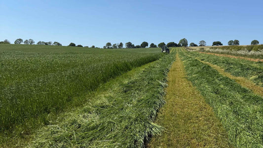 Beautifully, green fields of hay in the Yorkshire countryside, with a tractor in the background briefly.