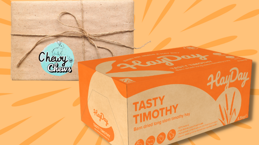 Chewy Chews x HayDay giveaway