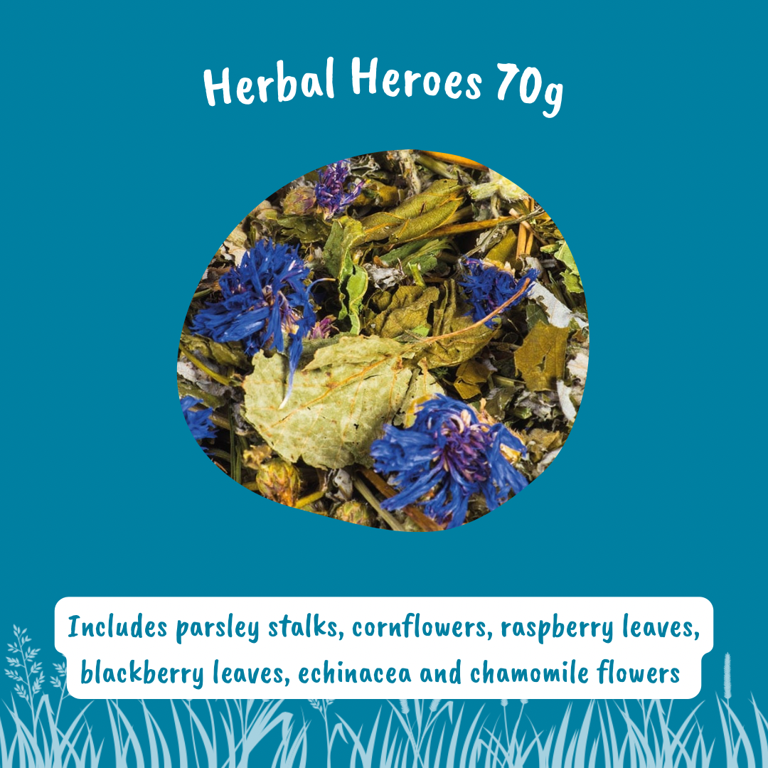 Herbal Heroes Forage Mix for Small Pets