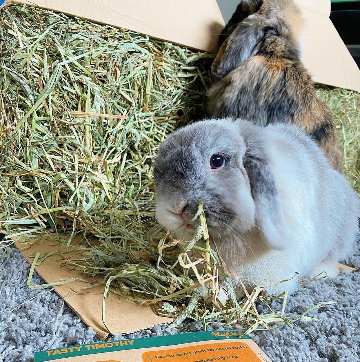 Premium Hay Bundles | Pick & Mix 2 Hay Boxes - HayDay HQ