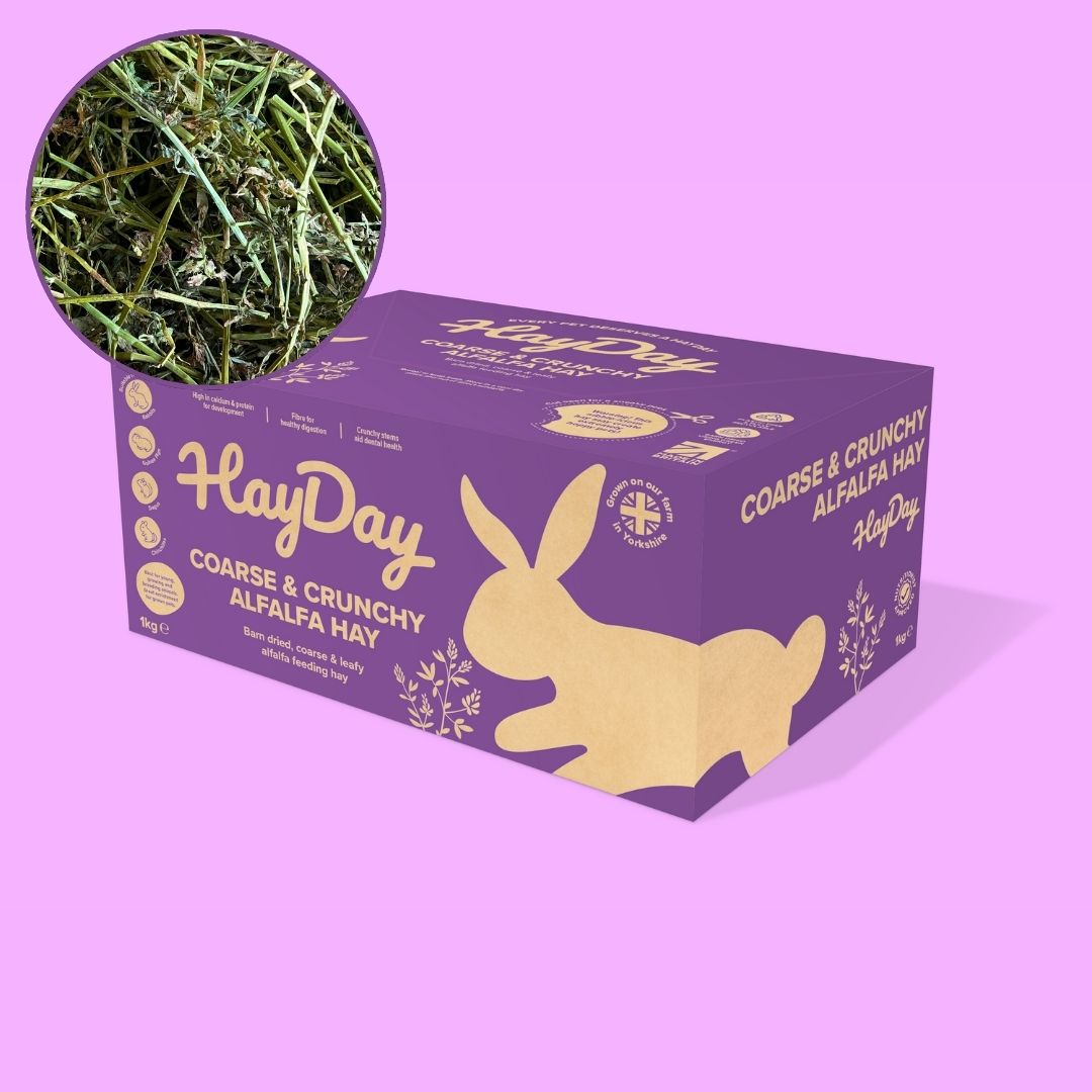 Alfalfa Hay 1kg - HayDay HQ