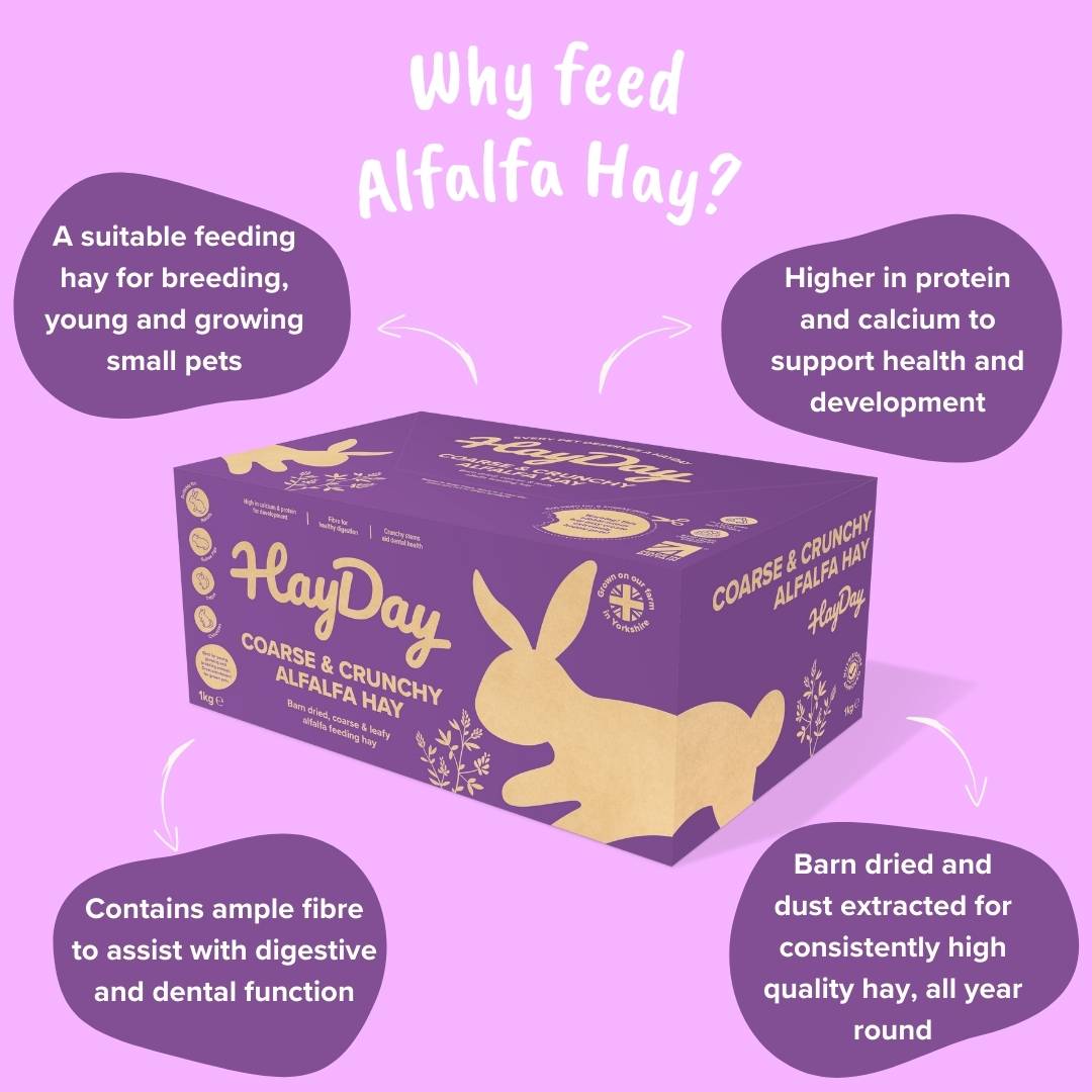 Alfalfa Hay 1kg - HayDay HQ