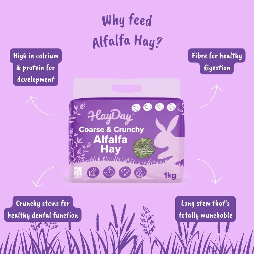 HayDay Coarse & Crunchy Alfalfa Hay packaging with benefits listed on a purple background
