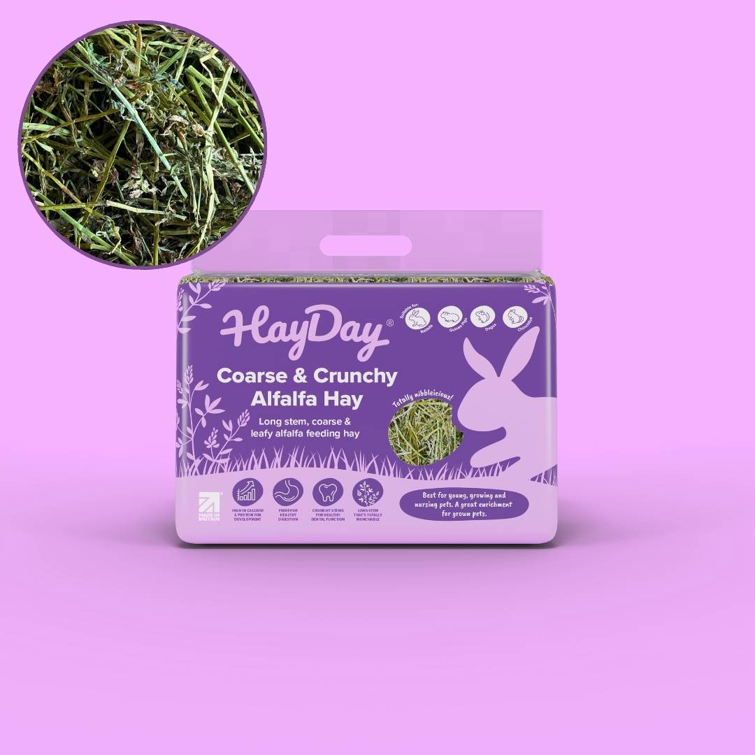 HayDay's Coarse & Crunchy Alfalfa Hay on a purple background.