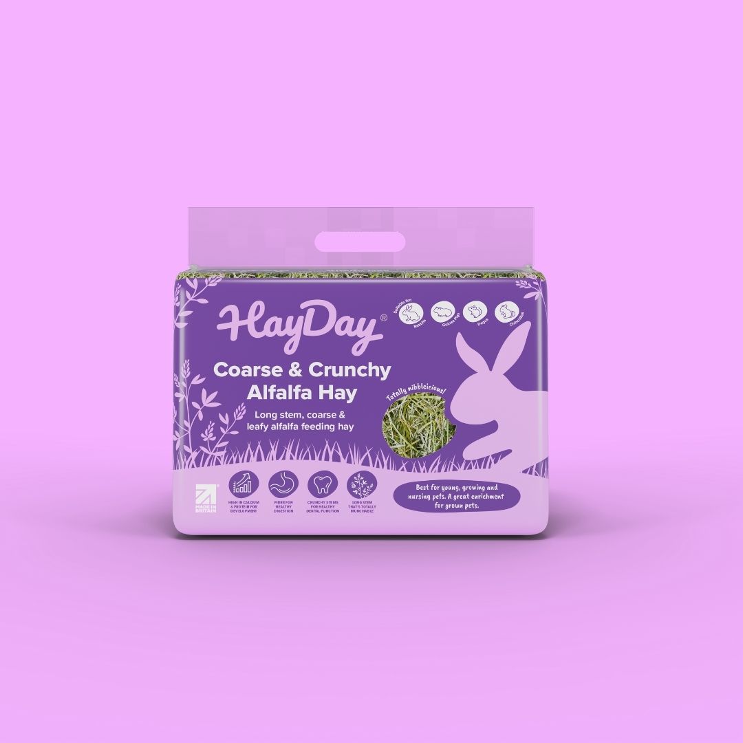 HayDay Coarse and Crunchy Alfalfa Hay 1kg on a purple background.