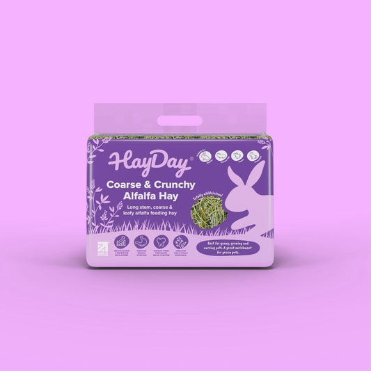 HayDay Coarse and Crunchy Alfalfa Hay 1kg on a purple background.