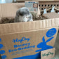 Bouncy Eco-Bedding 3.2kg