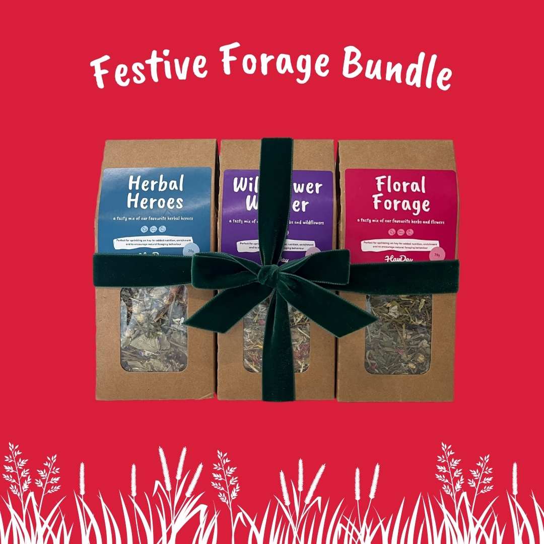 Festive Forage Bundle | Forage Mixes for Small Pets - HayDay HQ