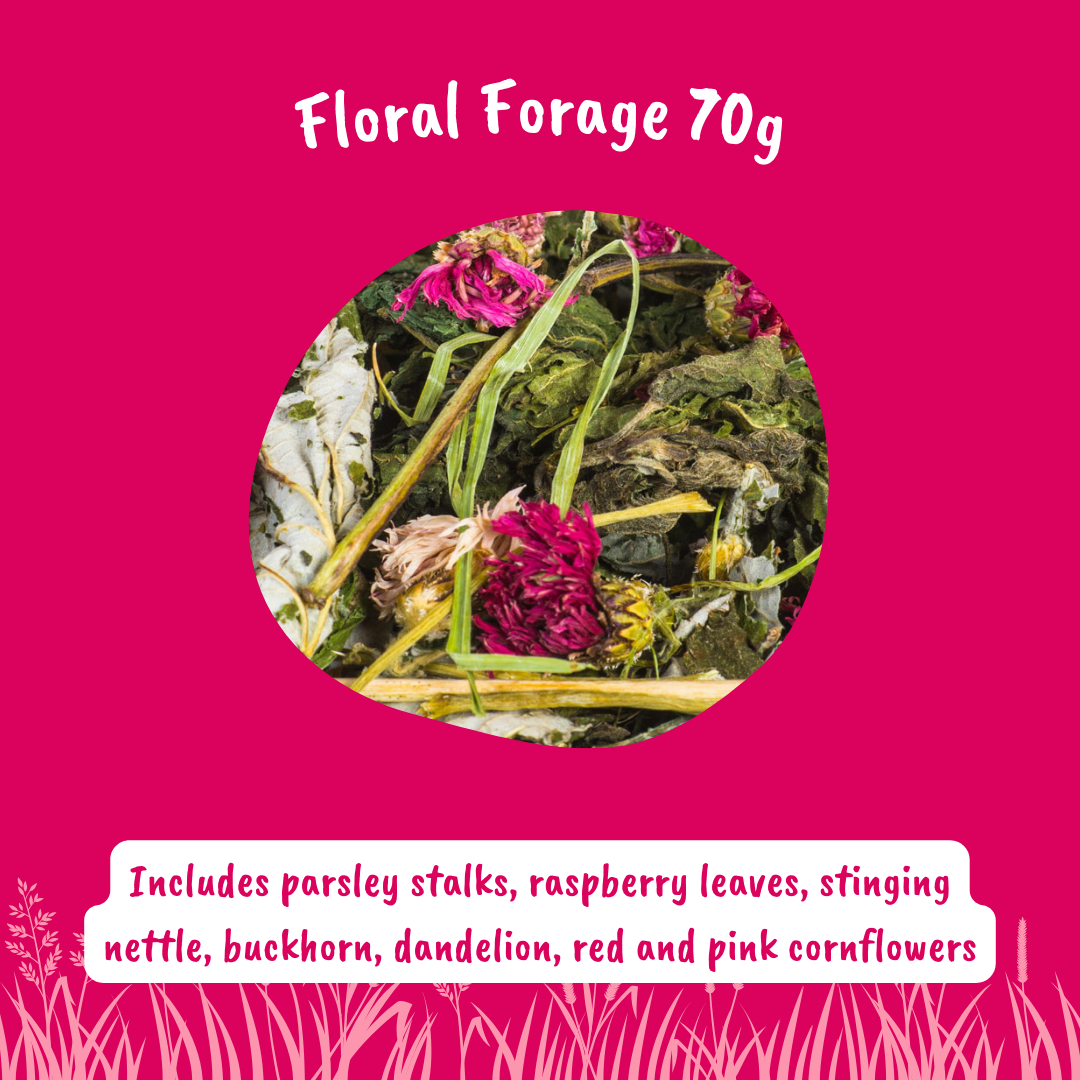 Floral Forage Mix for Small Pets