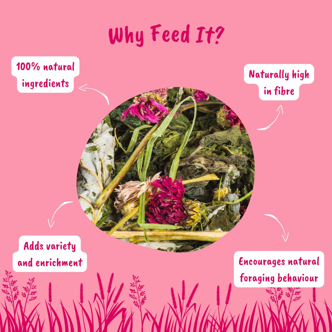 Floral Forage Mix for Small Pets - Info