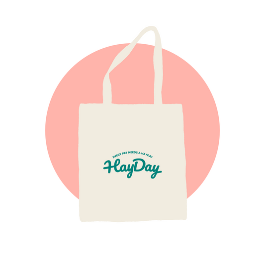 HayDay HQ Foraging Bag for Small Pets