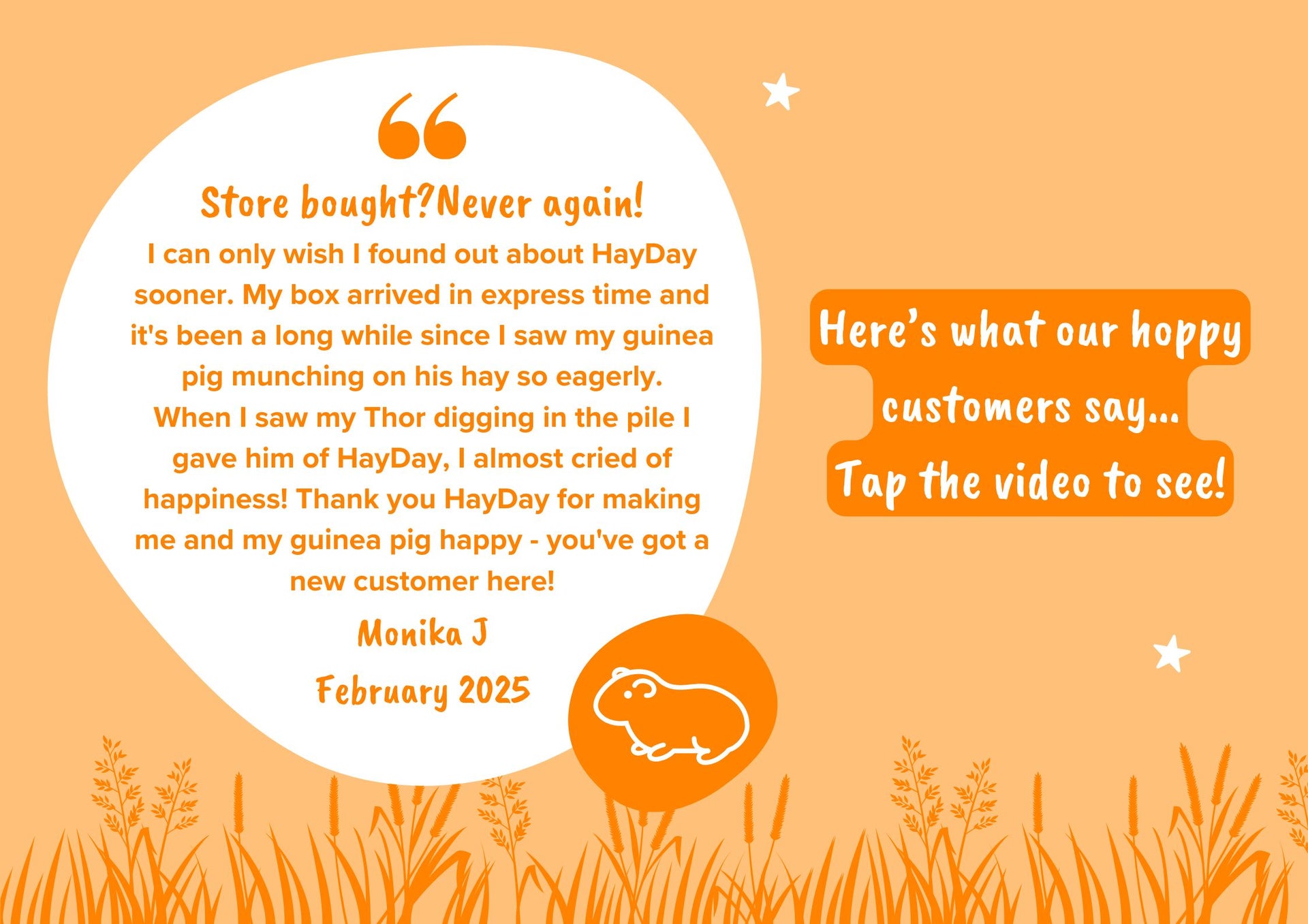 Load video: Here&#39;s what our happy guinea pig customers say about HayDay! &quot;Store bought? Never again! HayDay, you&#39;ve got a new customer here.&quot;