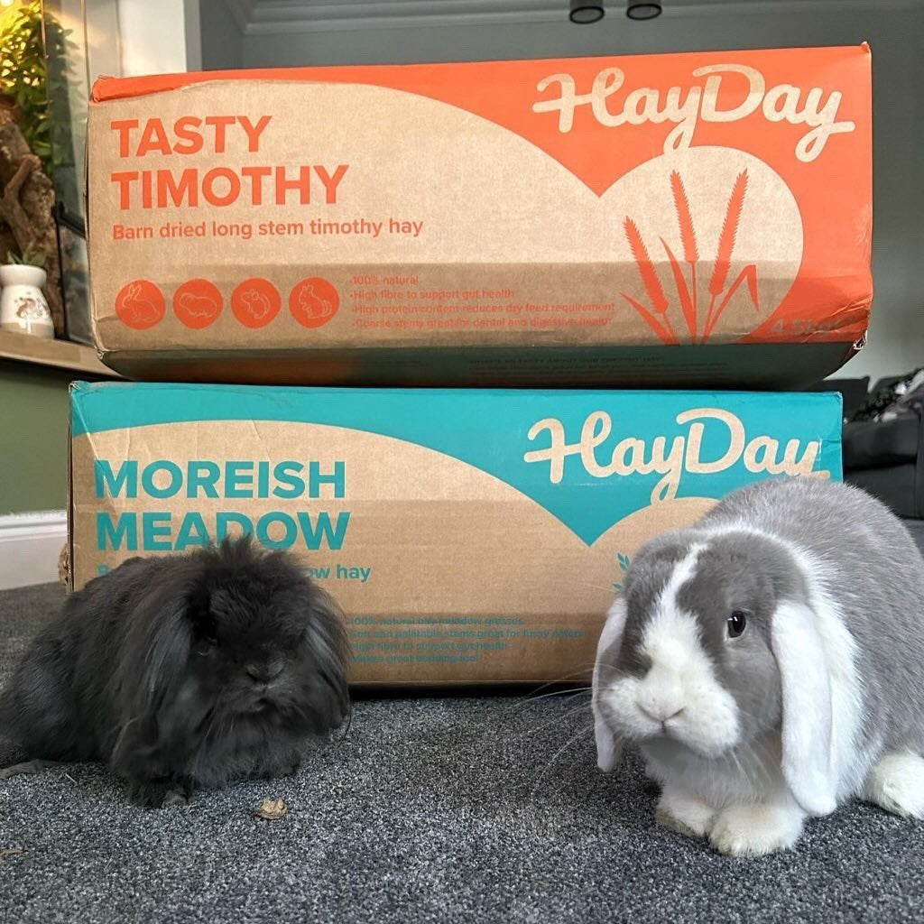 Two Rabbits alongside their Tasty Timothy and Moreish Meadow Hay Boxes