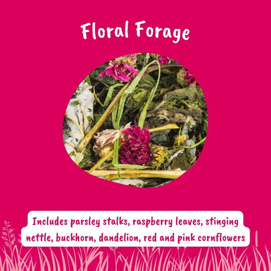 Floral Forage | Forage Mixes - HayDay HQ