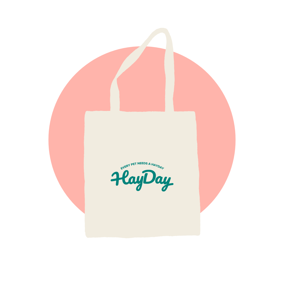 HayDay HQ Foraging Bag for Small Pets