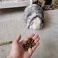 Rabbits Golden Poops - HayDay HQ