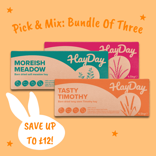 HayDay Bundle of Three on a light orange background.