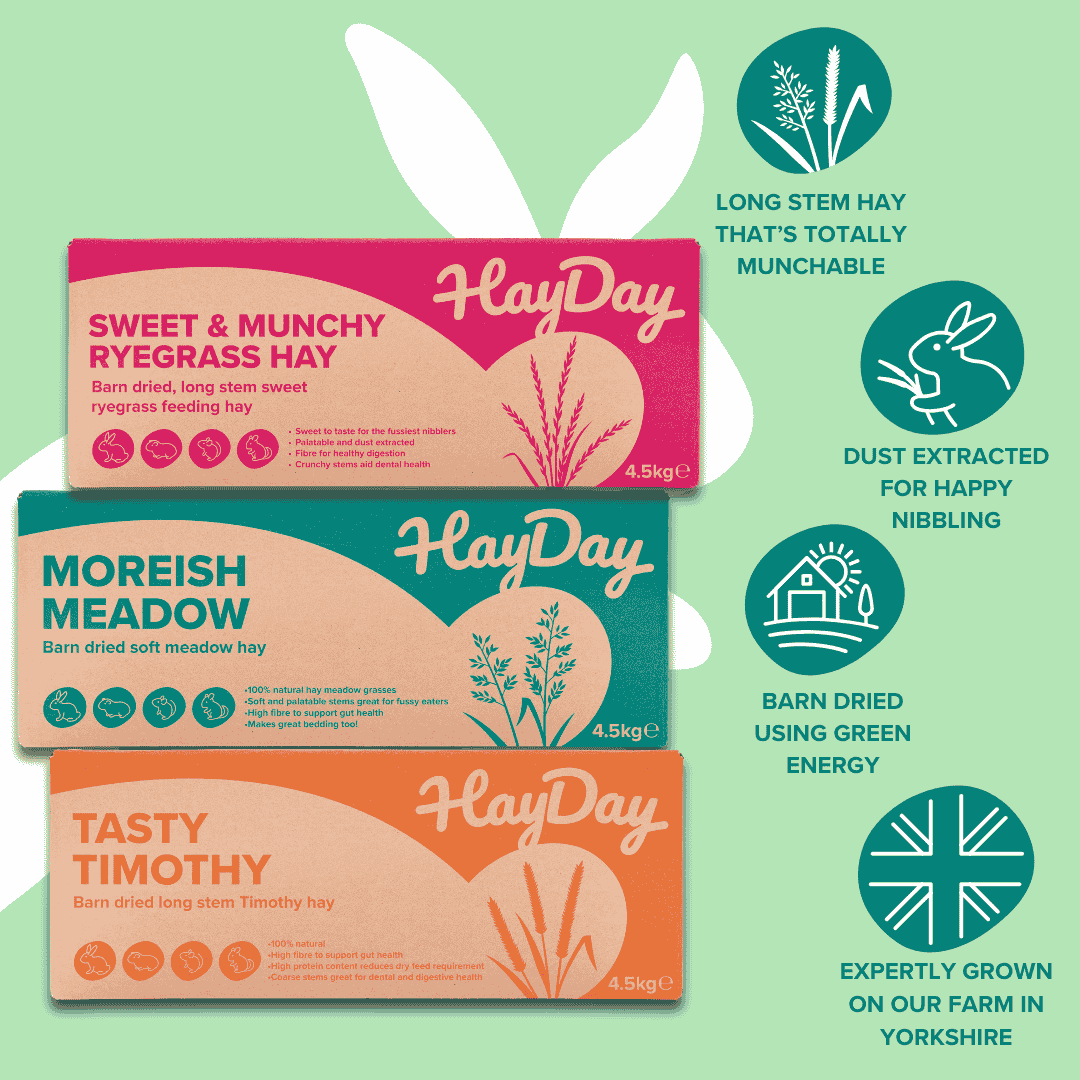 HayDay Bundle of Three, with benefits, on a light green background.