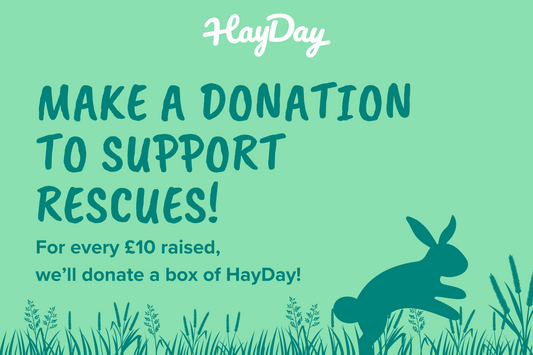 Donate Hay to Rescues