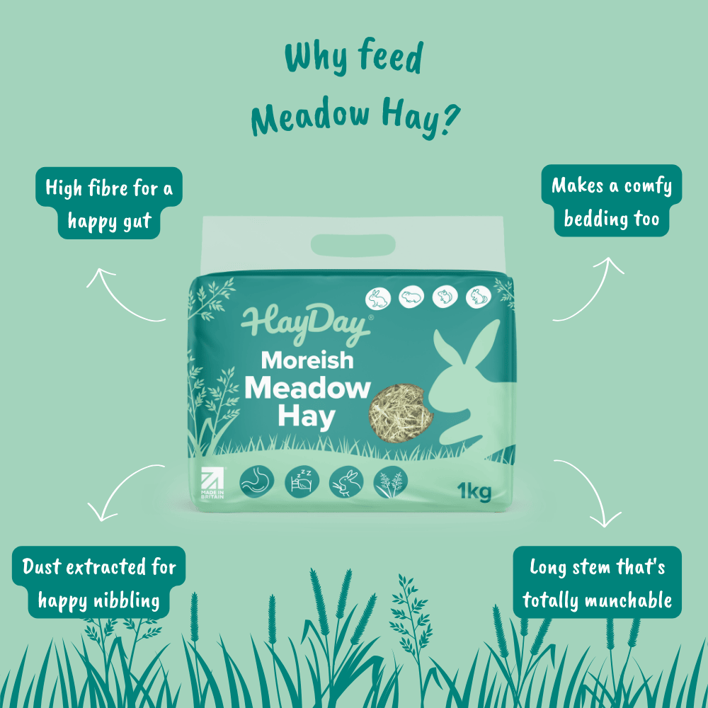 HayDay Moreish Meadow Hay with benefits listed on a green background.