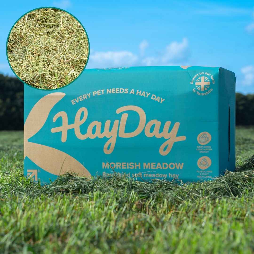 Moreish Meadow Hay 4.5kg - HayDay HQ