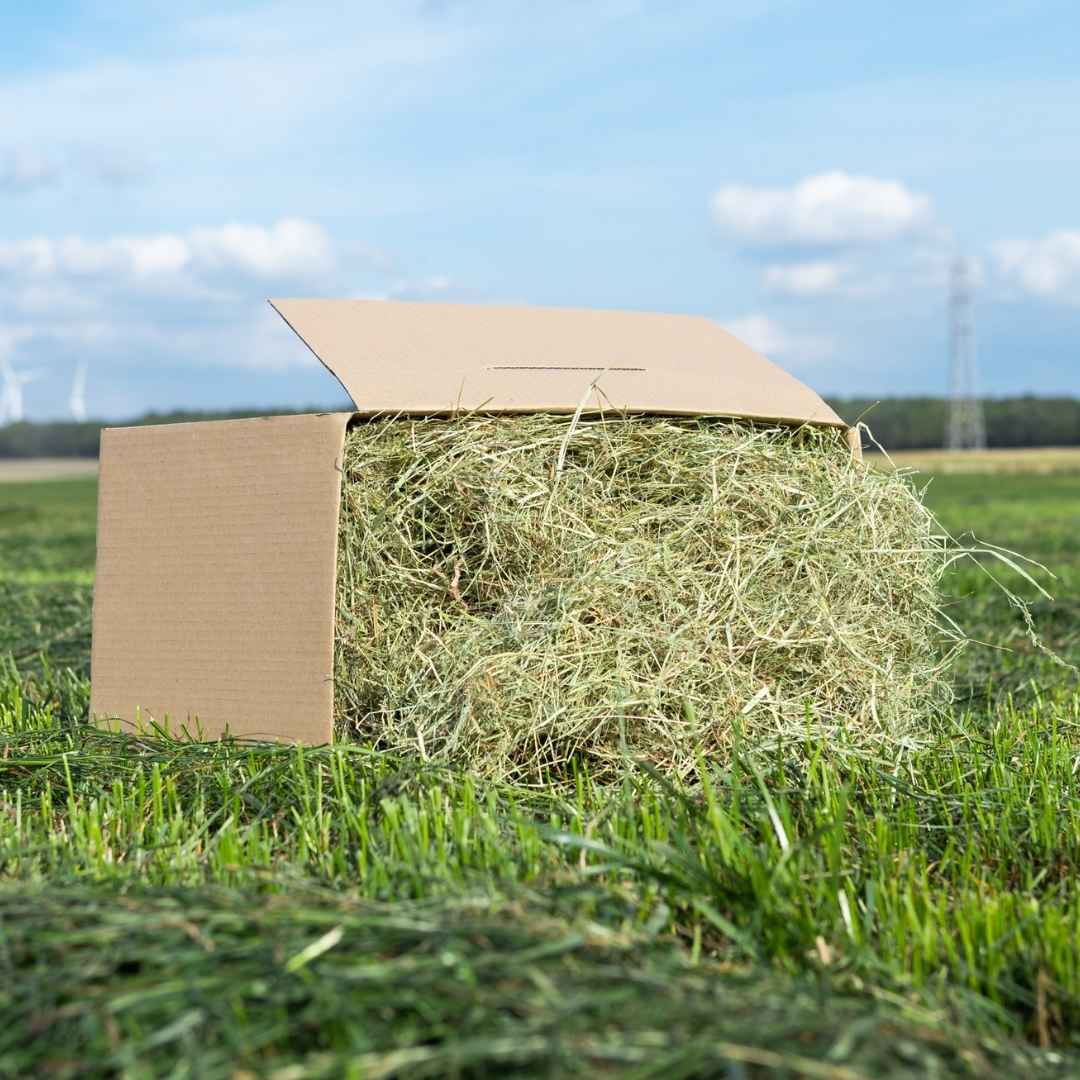 Moreish Meadow Hay 4.5kg - HayDay HQ