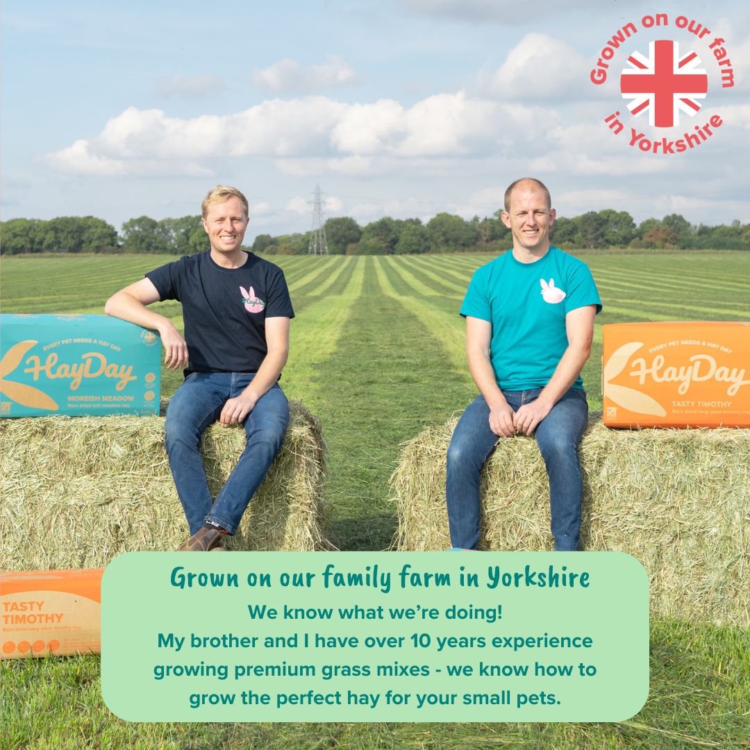 Moreish Meadow Hay 4.5kg - HayDay HQ