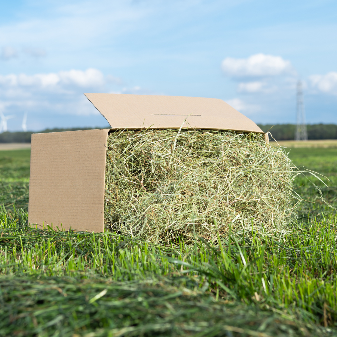 Moreish Meadow Hay Box