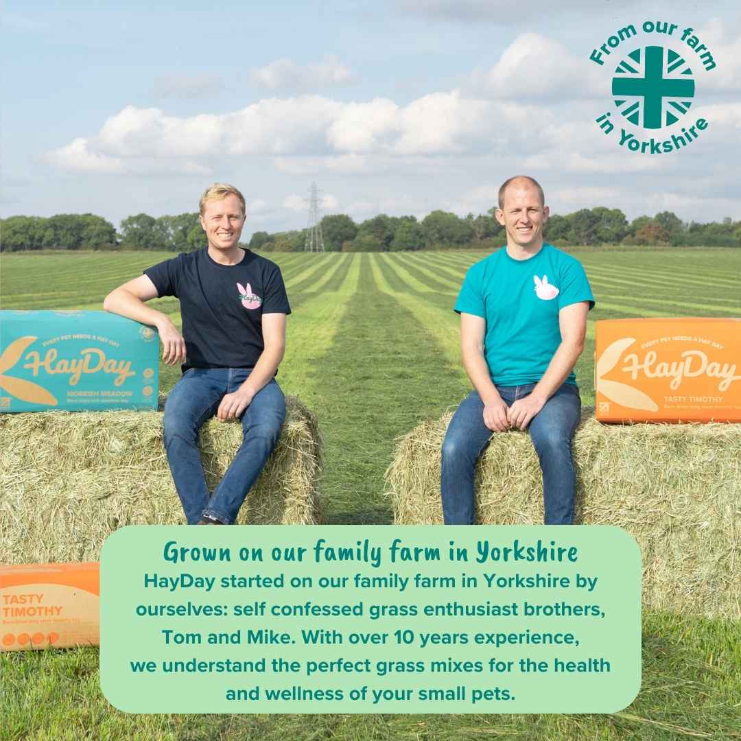 Two men sitting on hay bales with a field and blue sky in the background, promoting HayDay products.