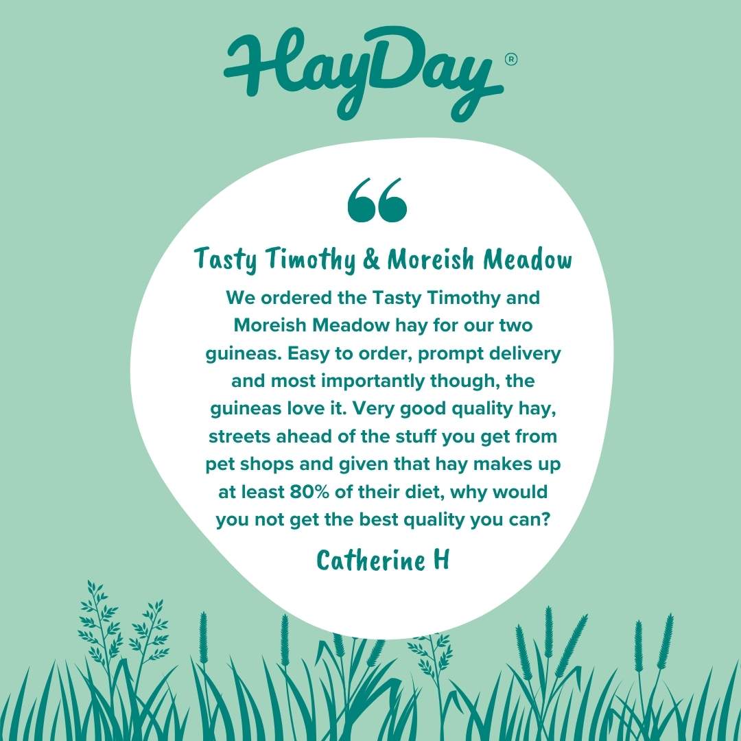 Review of HayDay Timothy and Moreish Meadow hay on a green background with grass illustration.