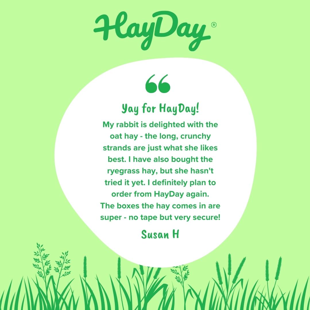 HayDay product review with a green background and text about oat hay for rabbits.