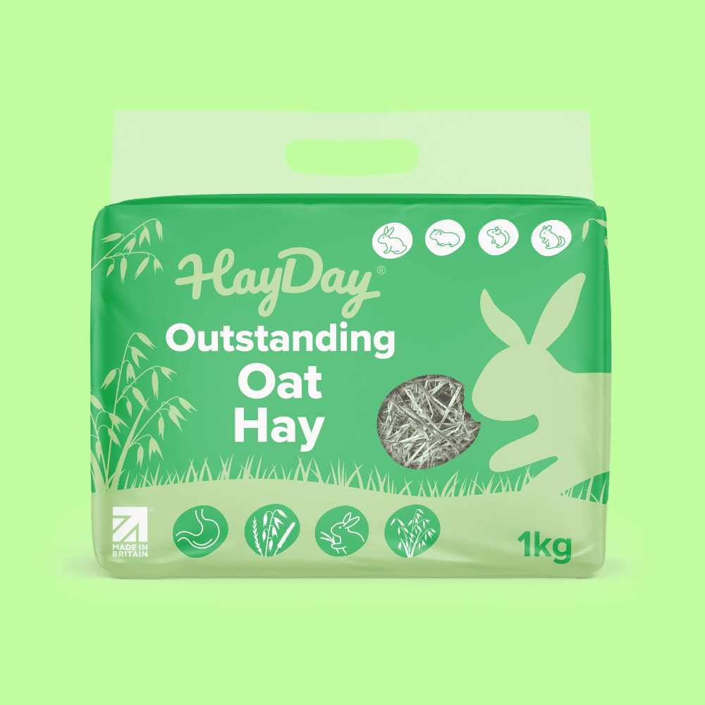 HayDay Outstanding Oat Hay 1kg on a light green background.