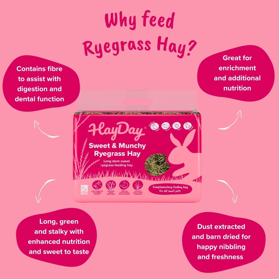 HayDay Sweet & Munchy Ryegrass Hay on a pink background with text about benefits.
