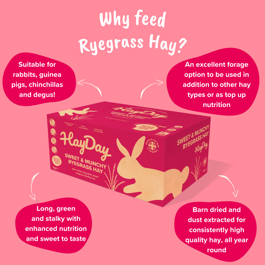 Why Feed Ryegrass Hay?