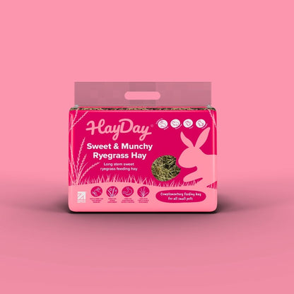 HayDay Sweet & Munchy Ryegrass Hay on a pink background.