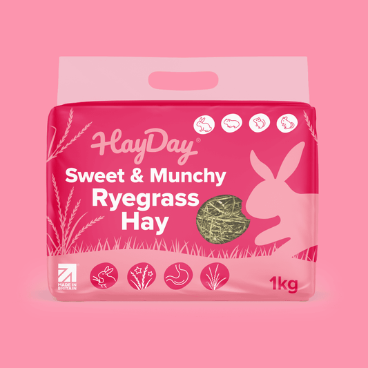 HayDay Sweet & Munchy Ryegrass Hay 1kg on a pink background.
