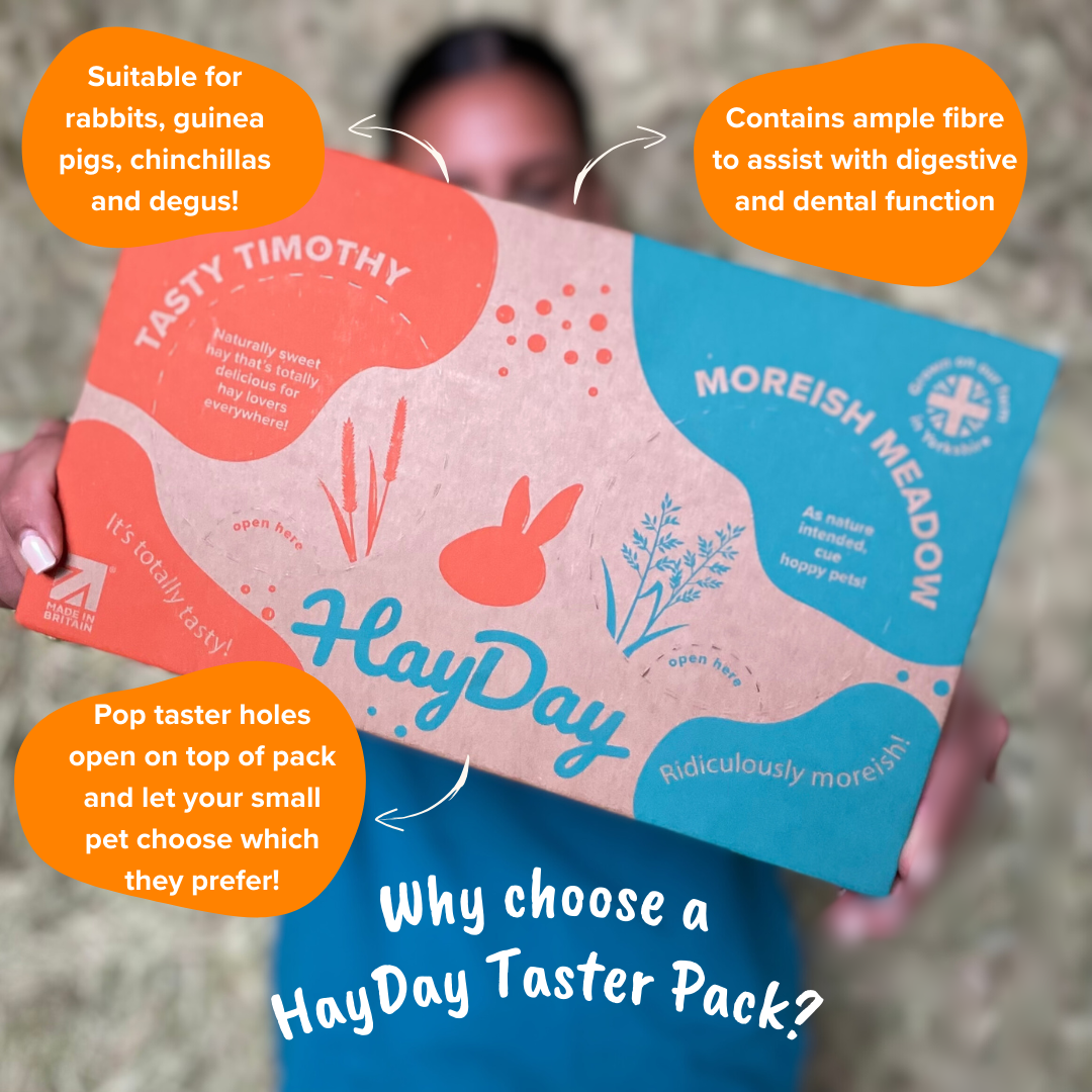 Why Choose A HayDay Taster Pack?