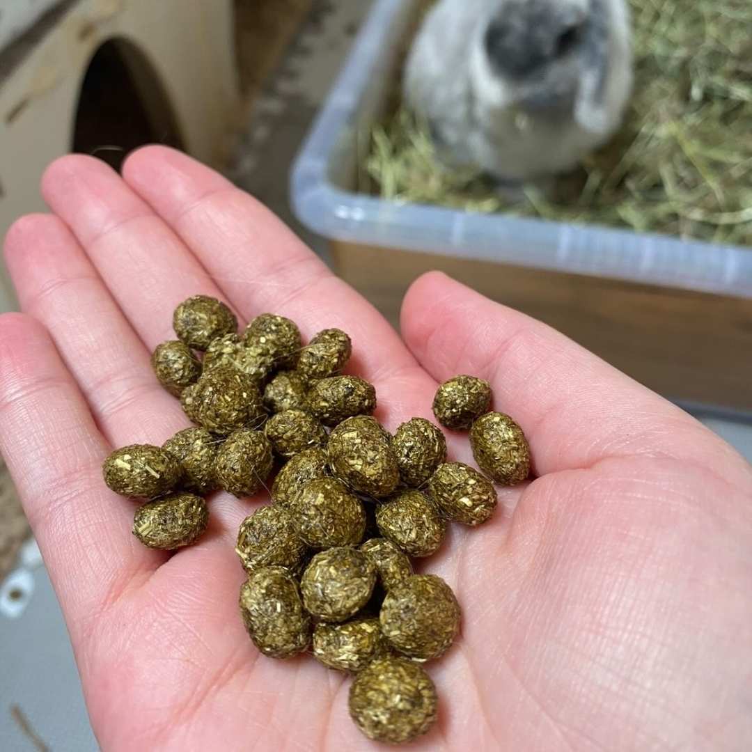 Tasty Timothy Golden Poops - HayDay HQ