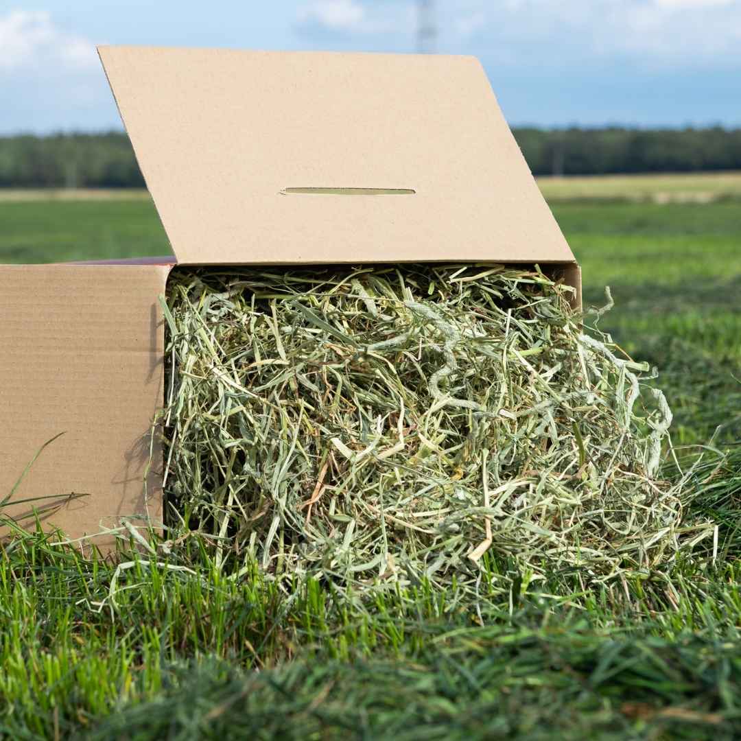 Tasty Timothy Hay 4.5kg - HayDay HQ